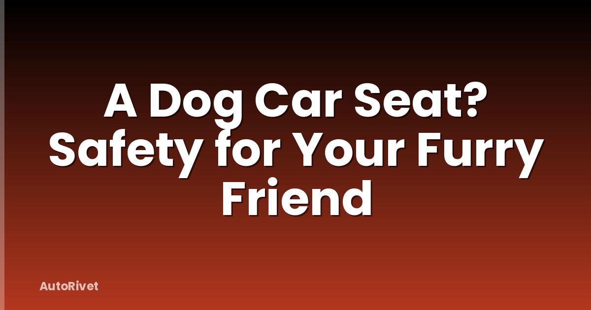 A Dog Car Seat? Safety for Your Furry Friend
