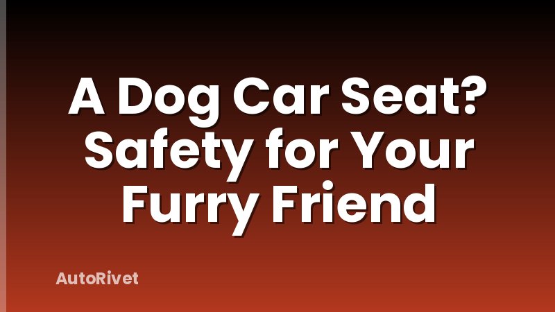 A Dog Car Seat? Safety for Your Furry Friend