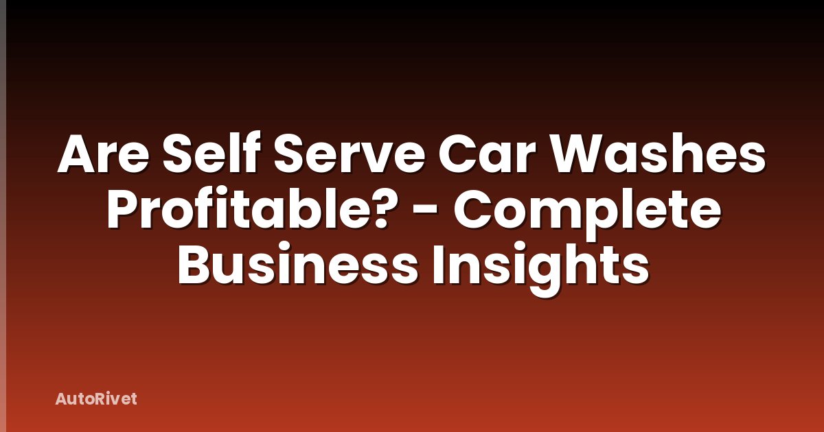 Are Self Serve Car Washes Profitable? - Complete Business Insights