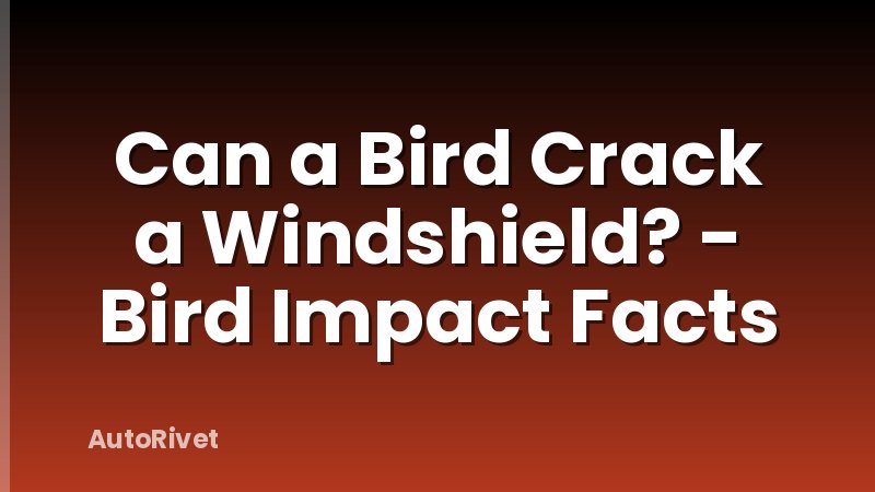 Can a Bird Crack a Windshield? - Bird Impact Facts
