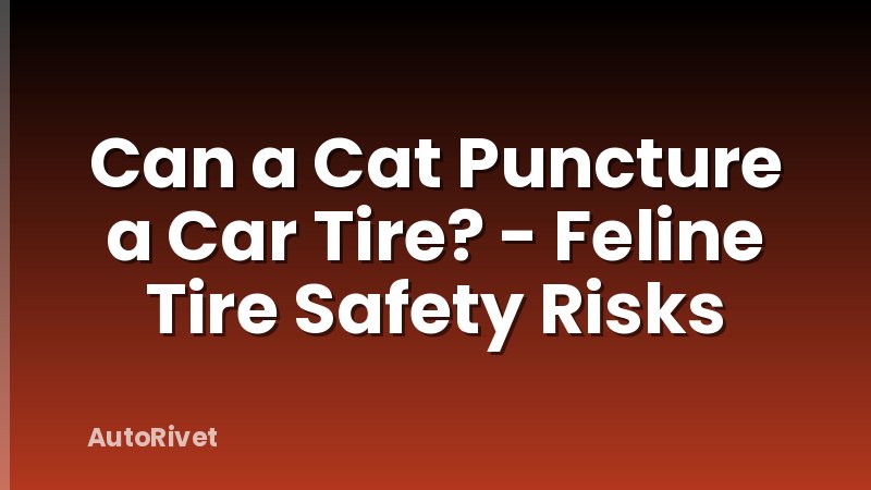 Can a Cat Puncture a Car Tire? - Feline Tire Safety Risks