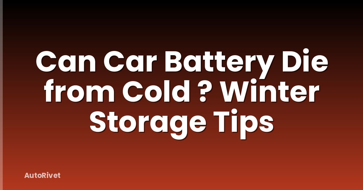 Can Car Battery Die from Cold ? Winter Storage Tips