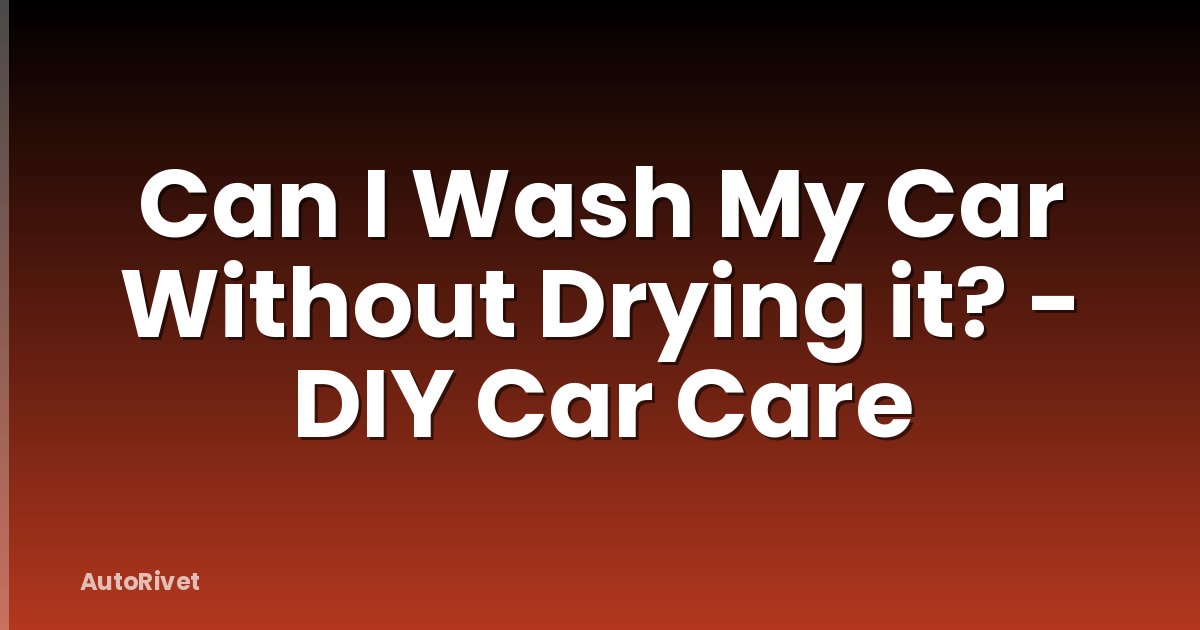 Can I Wash My Car Without Drying it? - DIY Car Care