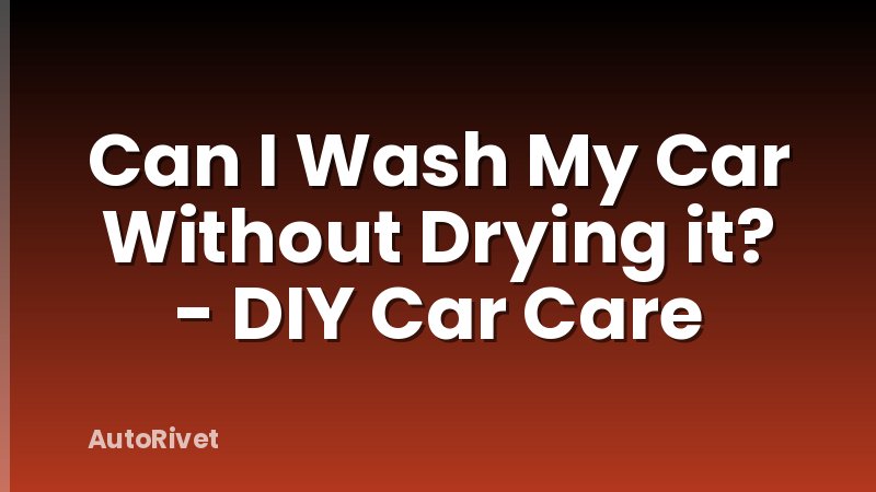 Can I Wash My Car Without Drying it? - DIY Car Care
