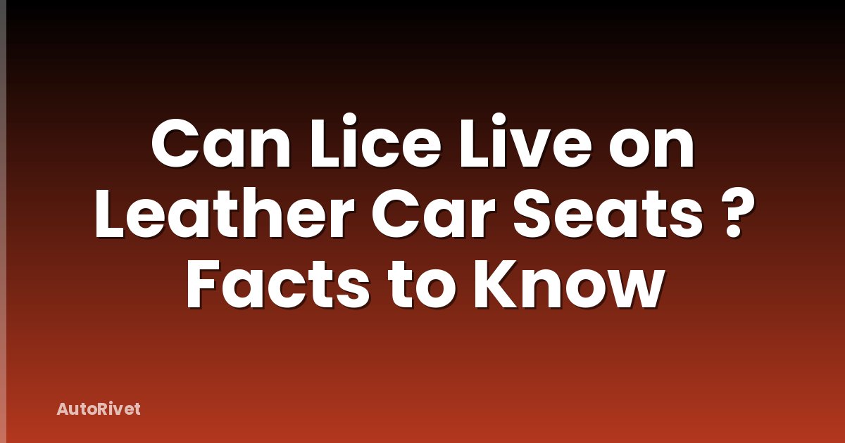 Can Lice Live on Leather Car Seats ? Facts to Know