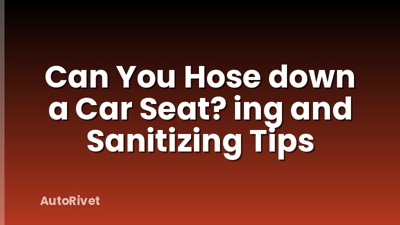 Can You Hose down a Car Seat? ing and Sanitizing Tips