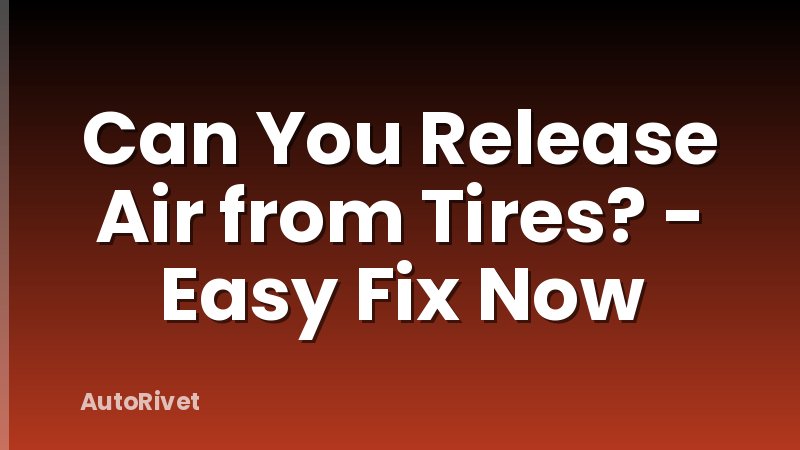 Can You Release Air from Tires? - Easy Fix Now