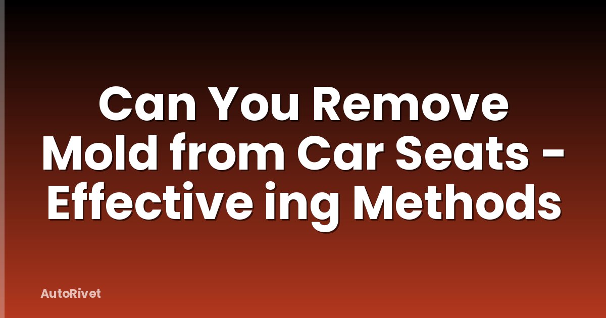 Can You Remove Mold from Car Seats - Effective ing Methods