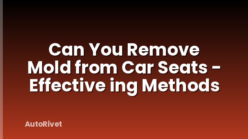 Can You Remove Mold from Car Seats - Effective ing Methods