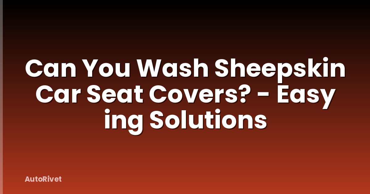 Can You Wash Sheepskin Car Seat Covers? - Easy ing Solutions