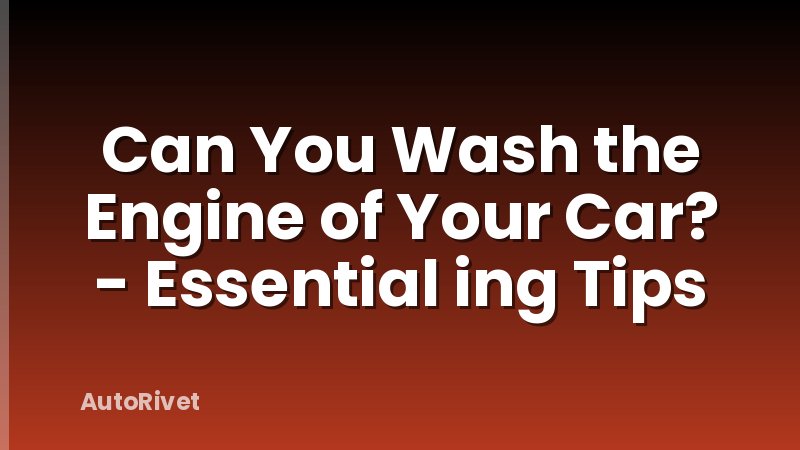 Can You Wash the Engine of Your Car? - Essential ing Tips