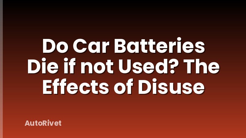 Do Car Batteries Die if not Used? The Effects of Disuse