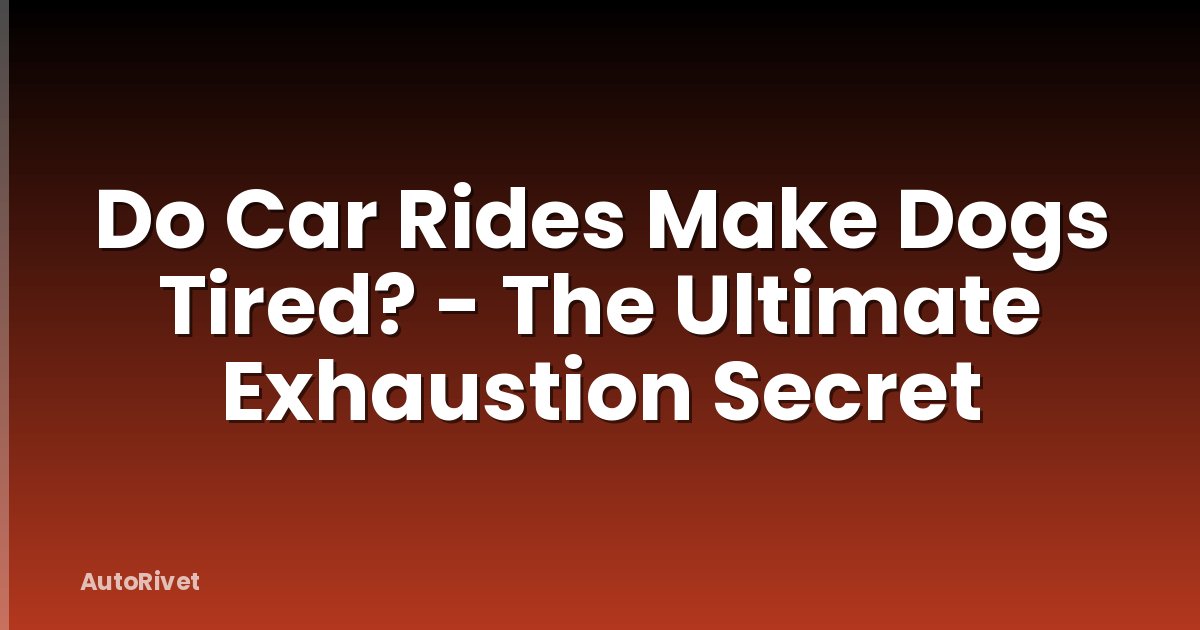 Do Car Rides Make Dogs Tired? - The Ultimate Exhaustion Secret