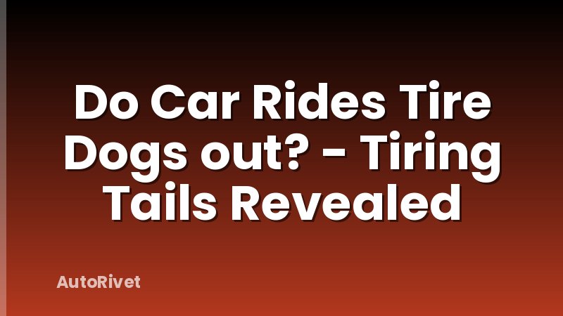 Do Car Rides Tire Dogs out? - Tiring Tails Revealed