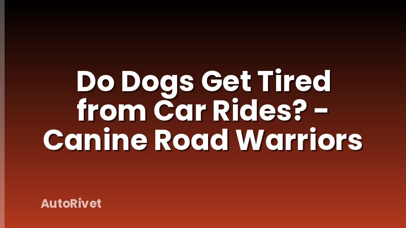 Do Dogs Get Tired from Car Rides? - Canine Road Warriors