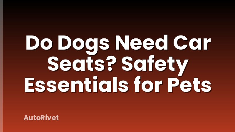 Do Dogs Need Car Seats? Safety Essentials for Pets
