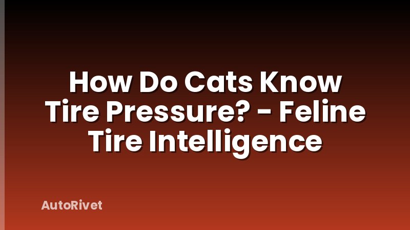 How Do Cats Know Tire Pressure? - Feline Tire Intelligence