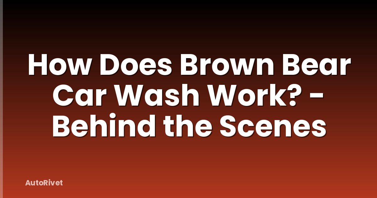 How Does Brown Bear Car Wash Work? - Behind the Scenes