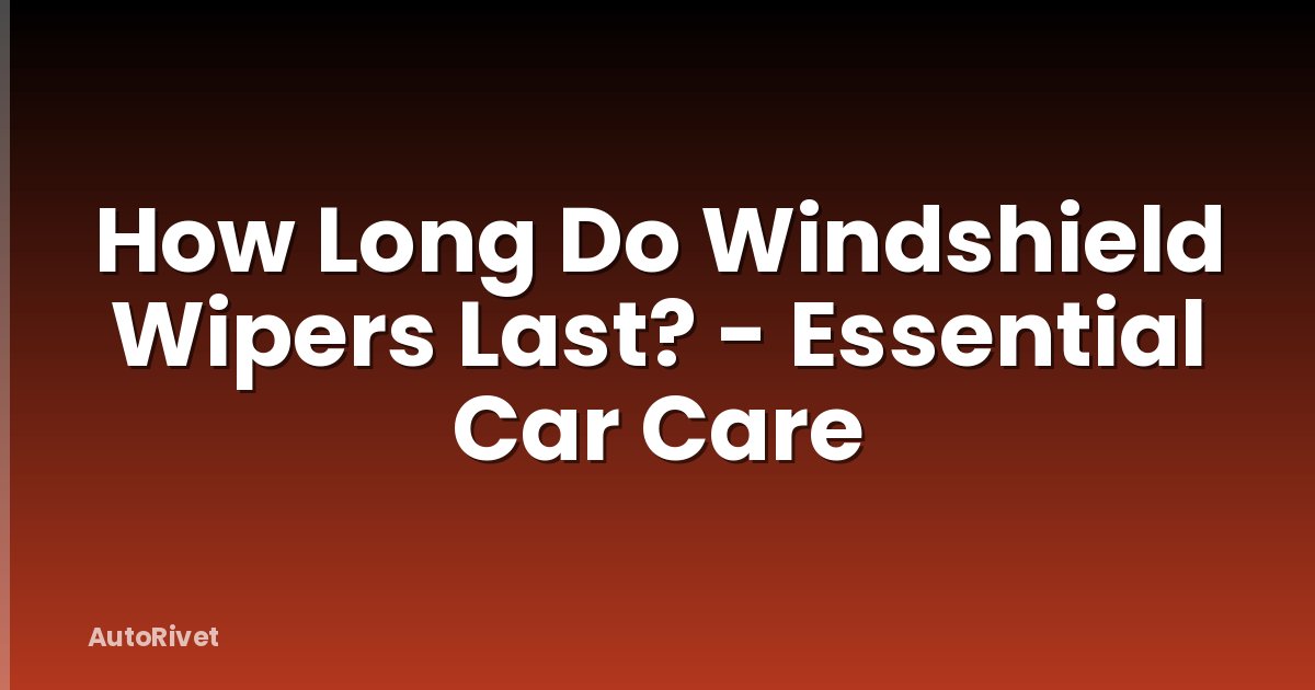 How Long Do Windshield Wipers Last? - Essential Car Care