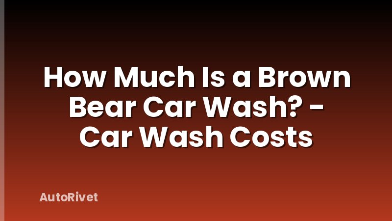 How Much Is a Brown Bear Car Wash? - Car Wash Costs
