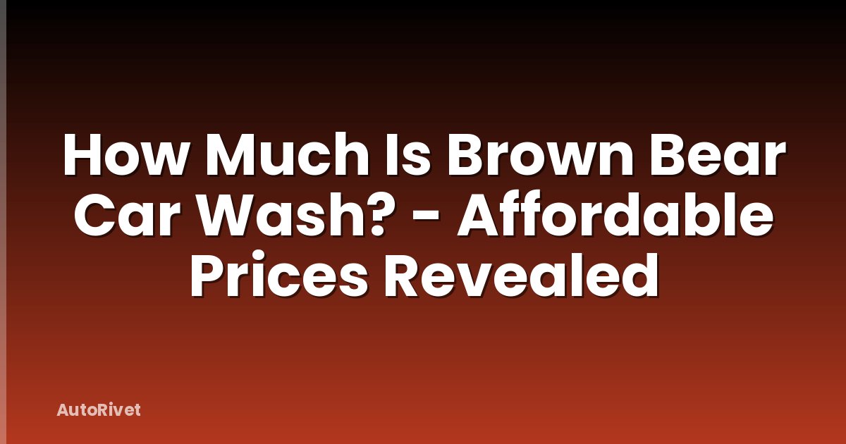 How Much Is Brown Bear Car Wash? - Affordable Prices Revealed