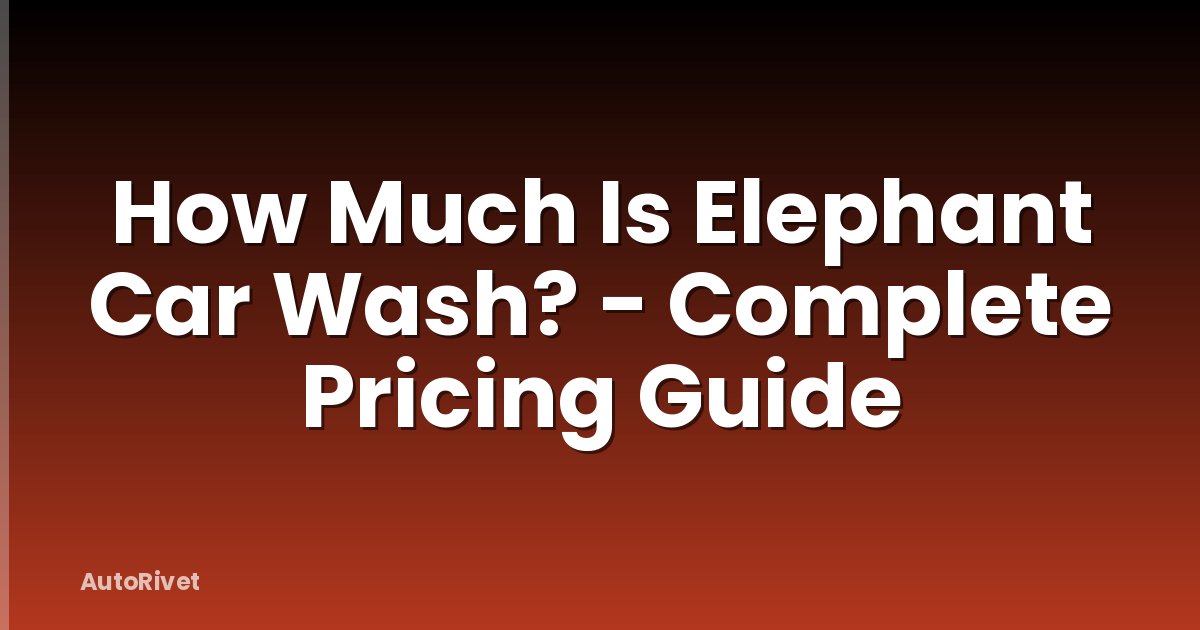 How Much Is Elephant Car Wash? - Complete Pricing Guide