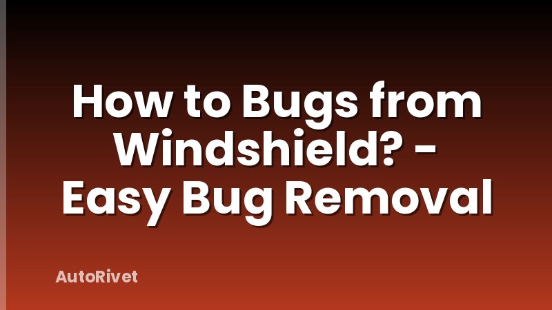 How to Bugs from Windshield? - Easy Bug Removal