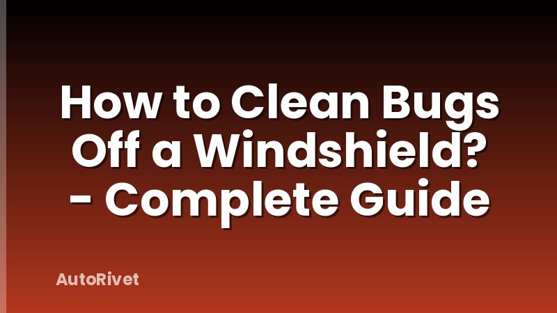 How to Clean Bugs Off a Windshield? - Complete Guide