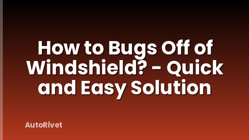 How to Bugs Off of Windshield? - Quick and Easy Solution
