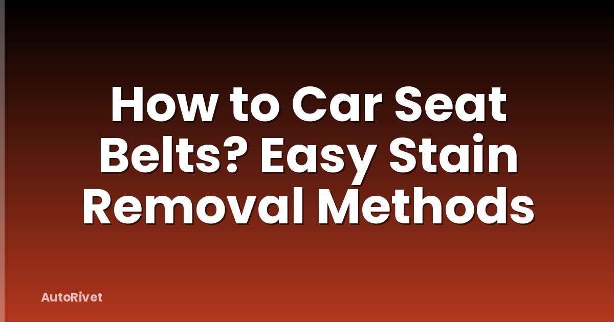 How to Car Seat Belts? Easy Stain Removal Methods