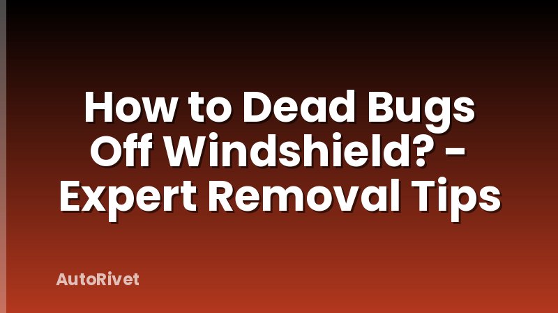 How to Dead Bugs Off Windshield? - Expert Removal Tips