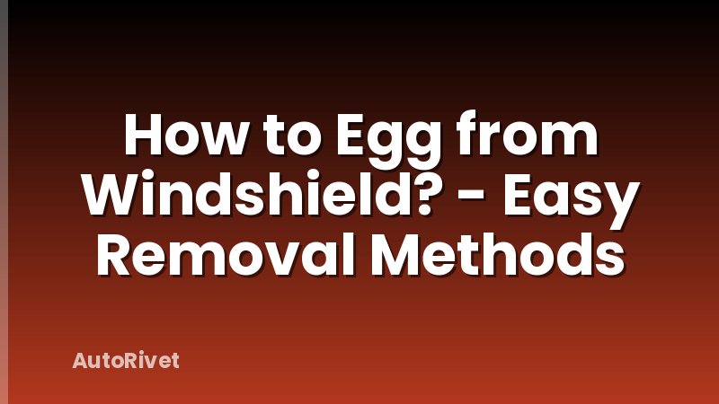 How to Egg from Windshield? - Easy Removal Methods