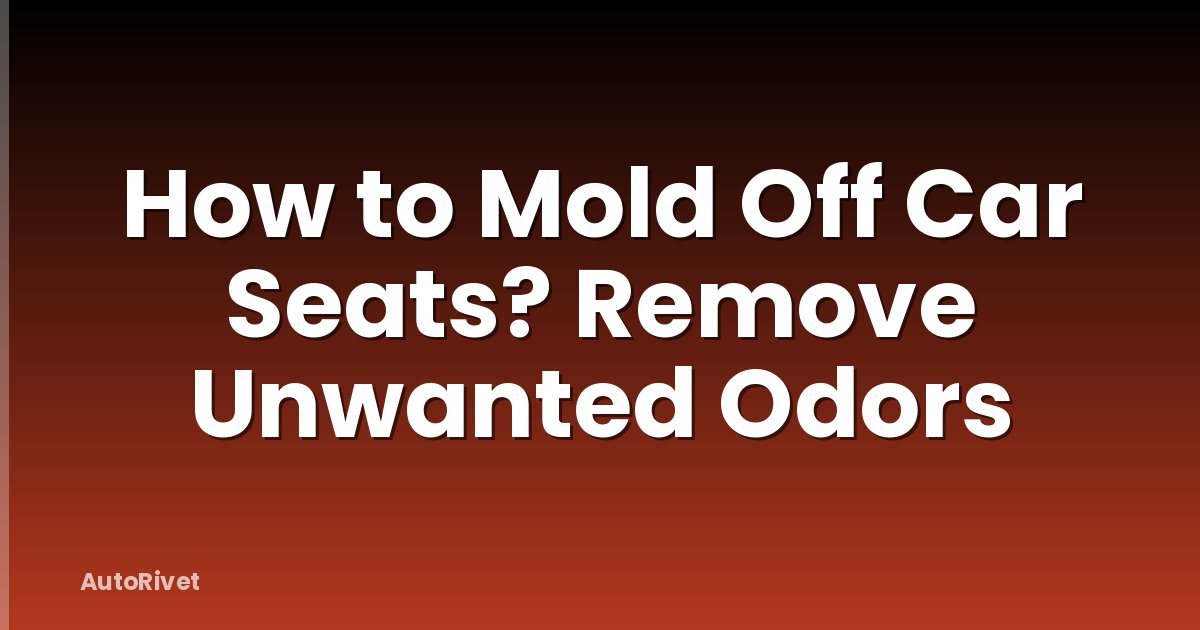 How to Mold Off Car Seats? Remove Unwanted Odors