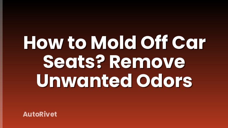 How to Mold Off Car Seats? Remove Unwanted Odors
