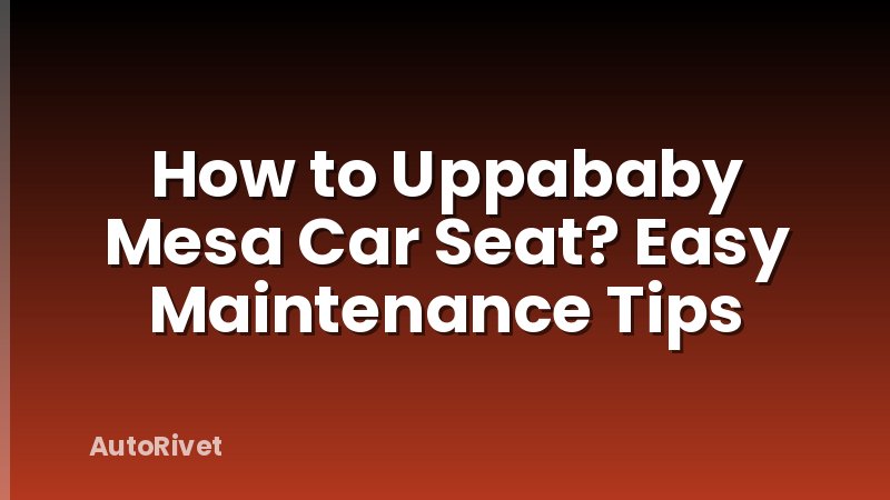 How to Uppababy Mesa Car Seat? Easy Maintenance Tips