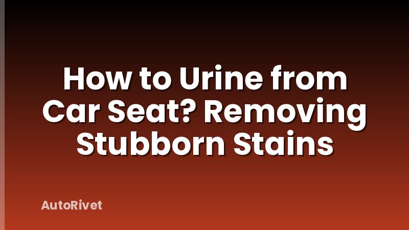 How to Urine from Car Seat? Removing Stubborn Stains