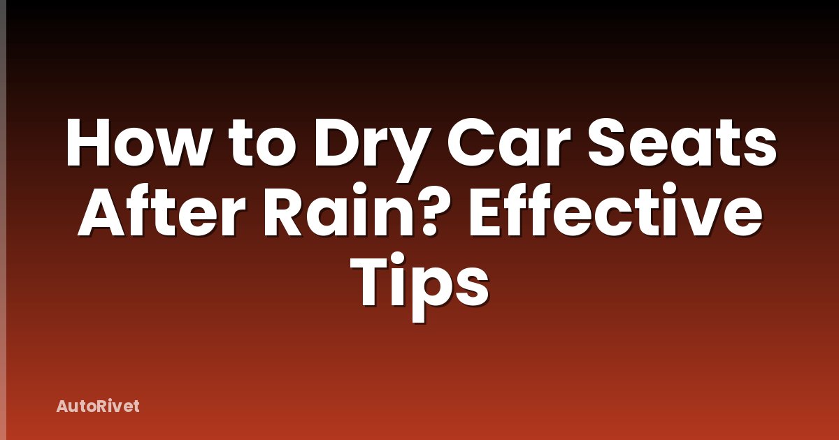 How to Dry Car Seats After Rain? Effective Tips