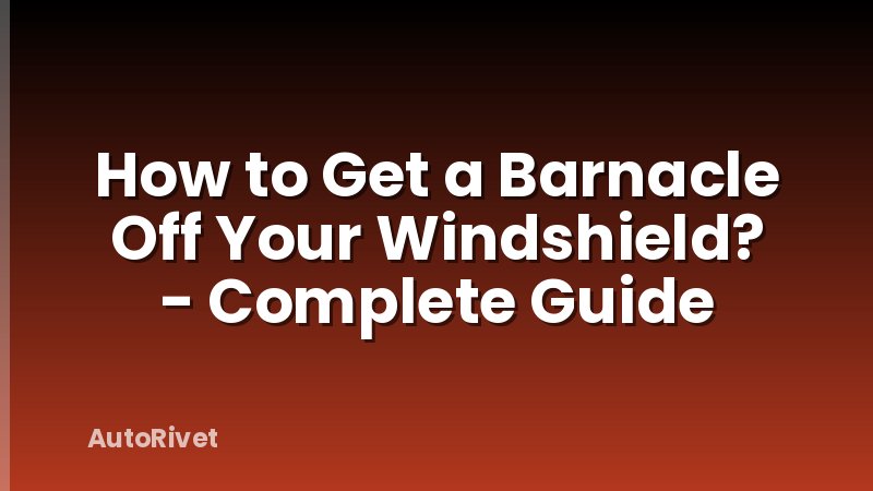 How to Get a Barnacle Off Your Windshield? - Complete Guide