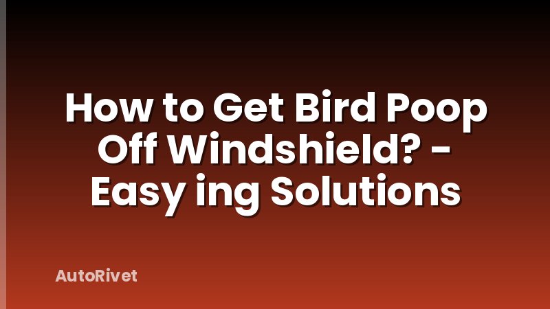 How to Get Bird Poop Off Windshield? - Easy ing Solutions
