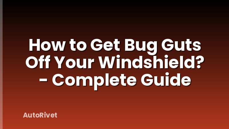 How to Get Bug Guts Off Your Windshield? - Complete Guide