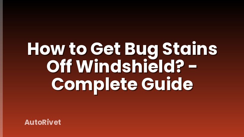 How to Get Bug Stains Off Windshield? - Complete Guide