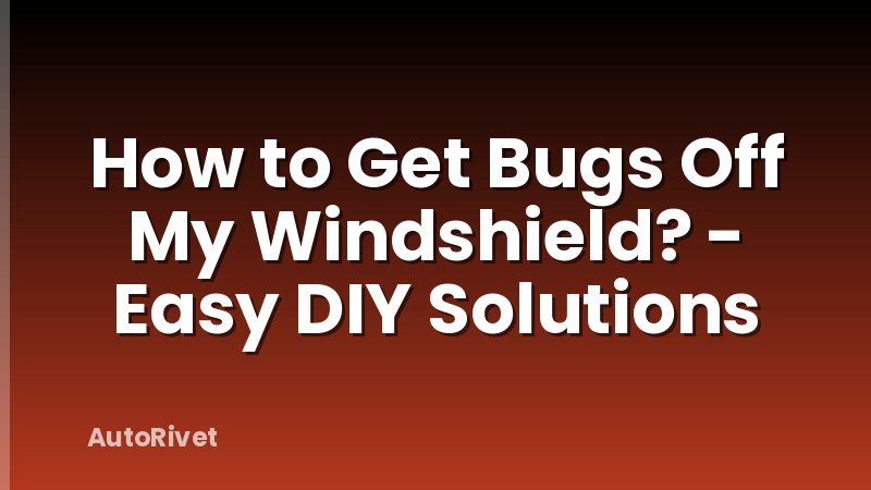 How to Get Bugs Off My Windshield? - Easy DIY Solutions