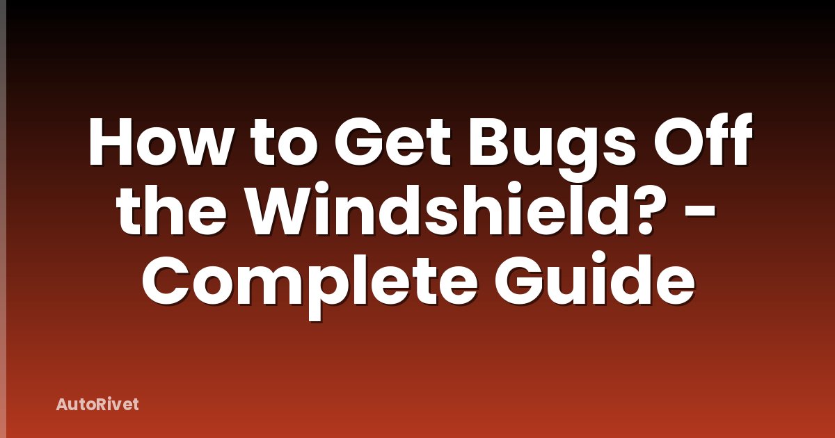 How to Get Bugs Off the Windshield? - Complete Guide