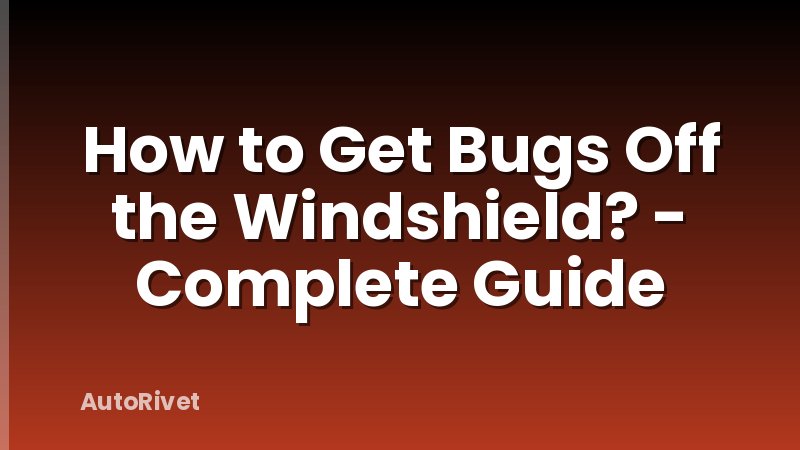 How to Get Bugs Off the Windshield? - Complete Guide