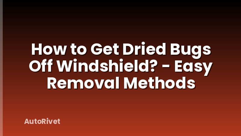 How to Get Dried Bugs Off Windshield? - Easy Removal Methods