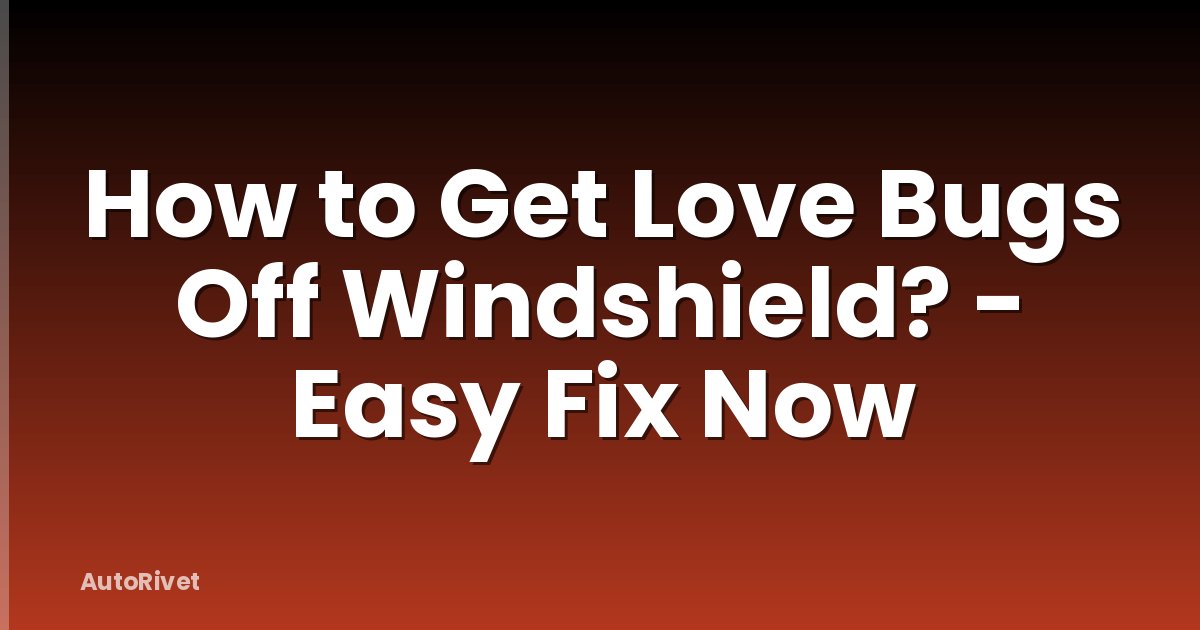 How to Get Love Bugs Off Windshield? - Easy Fix Now