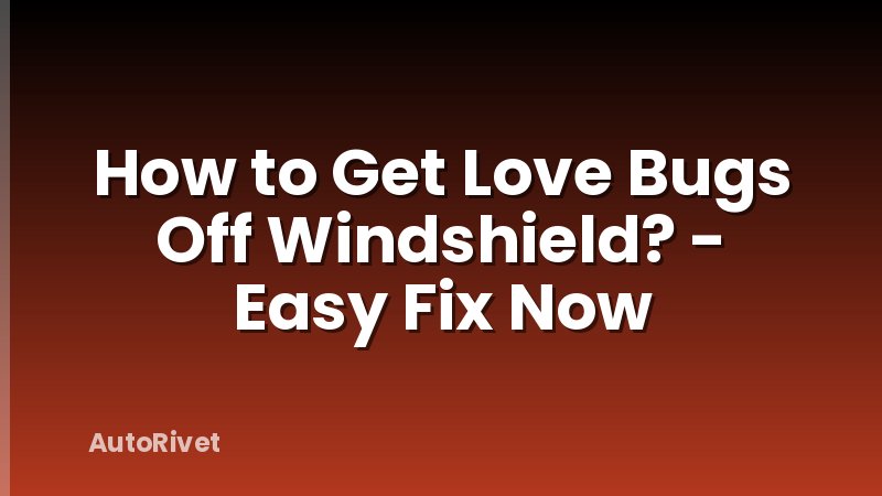 How to Get Love Bugs Off Windshield? - Easy Fix Now