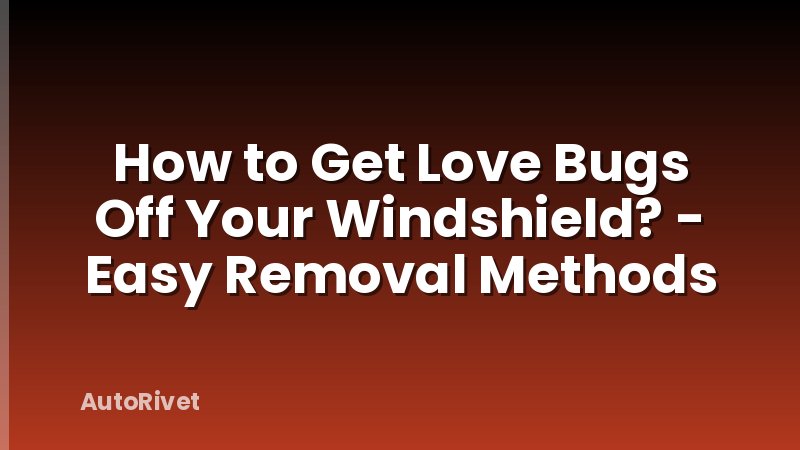 How to Get Love Bugs Off Your Windshield? - Easy Removal Methods