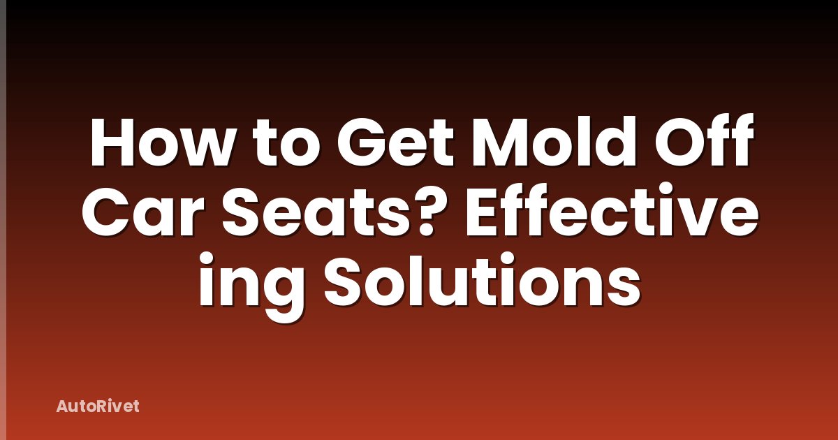 How to Get Mold Off Car Seats? Effective ing Solutions