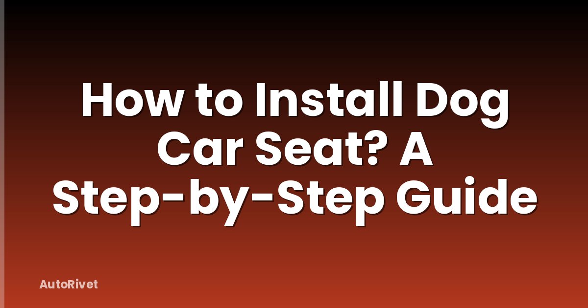 How to Install Dog Car Seat? A Step-by-Step Guide